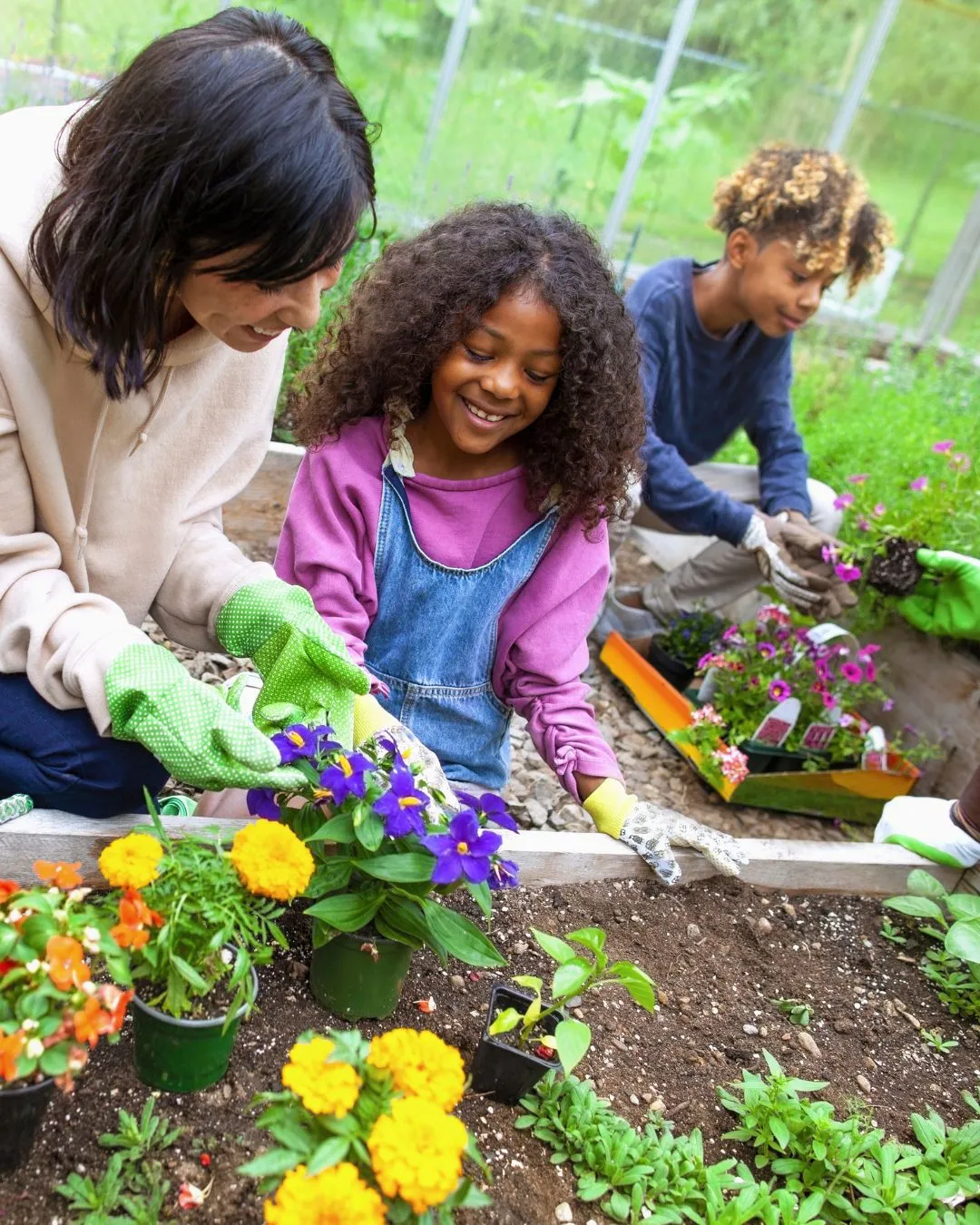 Children and adults working together in a garden, planting colorful flowers as part of a hands-on community-based ABA therapy activity focused on social and life skills.